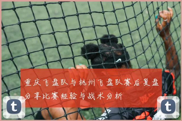 重庆飞盘队与杭州飞盘队赛后复盘分享比赛经验与战术分析